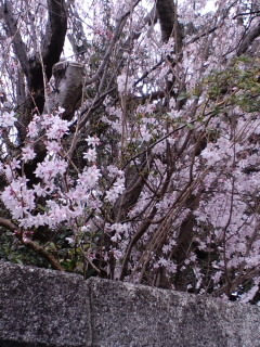 CA3G00930001.jpg